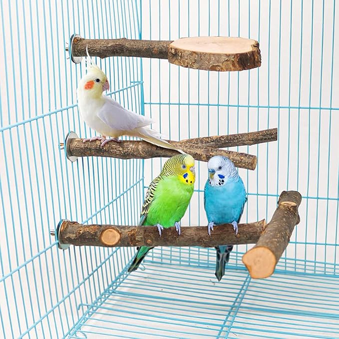 Allazone 4 PCS Natural Wood Bird Perch Stand, Bird Parrot Perch Stand Set - Image 6