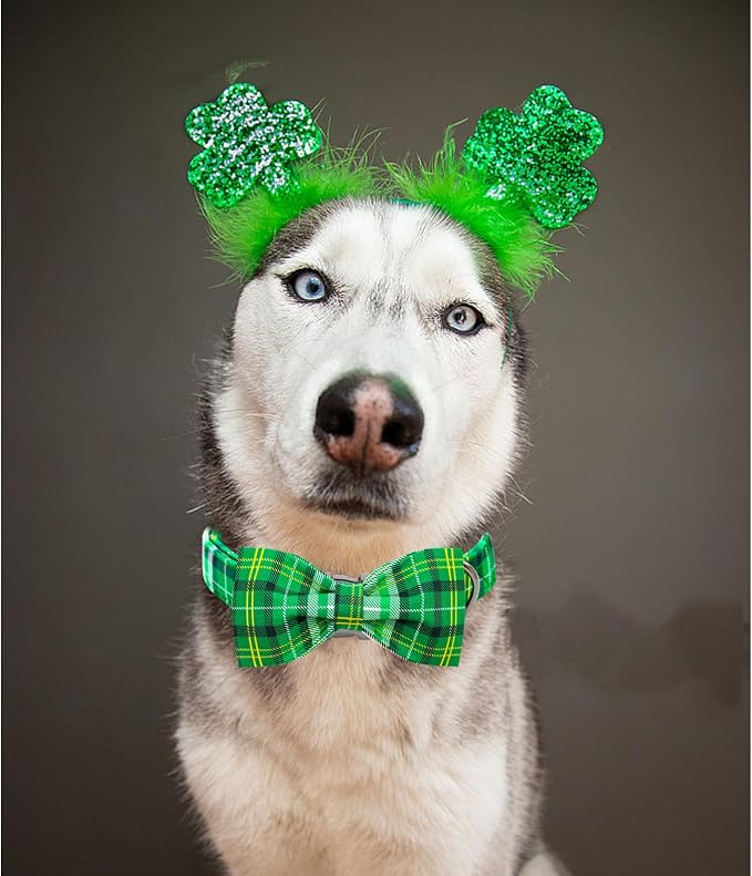 Lionheart glory Dog Bow Collar St. Patrick's Day Dog Collar - Image 4