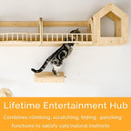 Cat Wall Shelves and Furniture Set - Image 3