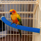 Rypet Parrot Perch Stand Toy Used - Image 3