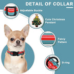 Christmas Dog Collar, Unique Style Paws Red Green Strips Dog Collar - Image 3