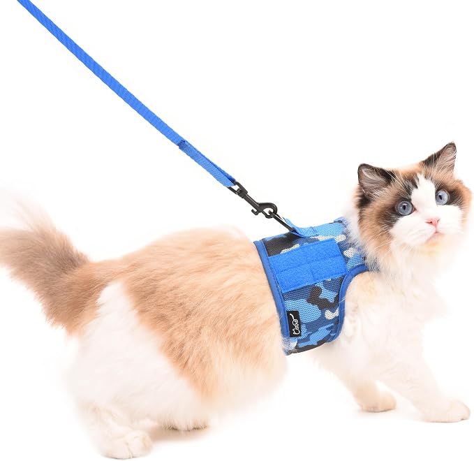Tactical Kitty Harness and Leash by Yizhi+Miaow