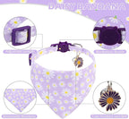 EXPAWLORER Cute Cat Collar Breakaway - Image 3