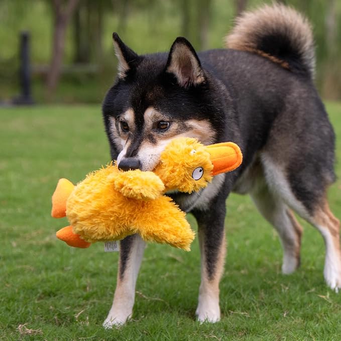 Best Pet Supplies Interactive Squeaky Dog Chew Toy, Ideal Dog Toys - Image 6