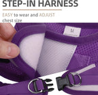 PUPTECK Adjustable Dog Harness Collar and Leash Set Step in No Pull Pet Harness - Image 3