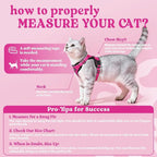 rabbitgoo Cat Harness and Leash - Image 2