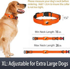 Airtag Dog Collar with AirTag Holder - Image 6