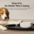 DownyPaws Dog Food Mats for Floors Waterproof, BPA Free Silicone Dog Bowl Mat - Image 7