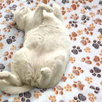 Dog Blankets for Medium Large Dogs Washable, 3 Pack Pet Blanket Washable 41" x - Image 5