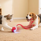Interactive Electric Automatic Rolling Moving USB Rechargeable Self Activated - Image 6