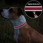 TagME Reflective Nylon Dog Collars, Adjustable Classic Pet Collar - Image 5