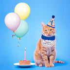 ADOGGYGO Cat Birthday Party Supplies - Image 2