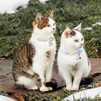 ARING PET 2 Pack Cat Collar-Cute Cotton Cat Collar Breakaway - Image 4