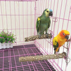 PINVNBY 3Pcs Bird Perches for Cage, Nature Wood Prickly Parrot Stand Toy Paw - Image 6