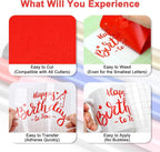 Red Permanent Vinyl - Image 4