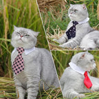 4 Pieces Pets Dog Cat Bowtie Pet Costume Adjustable Formal Necktie Collar - Image 3