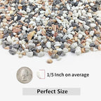 2LB Succulent and Cactus Gravel Pebbles, 1/5 Inch Natural Decorative Polished - Image 2
