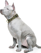 MOODEL Reflective Dog Collar for Medium Dogs, Cute Camouflage Adjustable - Image 2