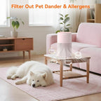AIRROMI Pets Air Purifier for Home Allergies, - Image 4
