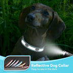 PETCARE Reflective Dog Collar - Image 5