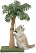 Palm Tree Cat Scratching Post, 3 Interactive Balls and Curved Design Scratching by Unknown