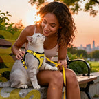 rabbitgoo Cat Harness and Leash - Image 9