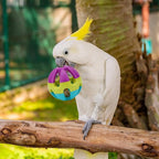 Hypeety Pet Parrot Toy Plastic Colorful Birds Ball - Image 5