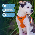 Voyager Step-in Pet Harness - Image 3