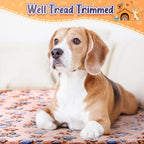 Tatuo 4 Pcs Dog Blanket for Pet Cat Blankets Indoor Puppy Teething Stuff Toys - Image 5