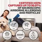 Honeywell HEPA Air Purifier Filter R, 3000 and 5000 Series - Image 4
