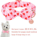 Valentine’s Day Dog Collar - Image 2