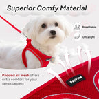 PetiFine Step in Small Dog Harness and Leash Set, Breathable All Weather Air - Image 2