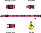 Cat Collars 2 Pack - Image 3