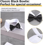 Segarty Black Bow Tie Dog Collar - Image 3
