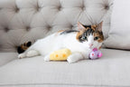 Pearhead Hide and Squeak Teaser Cat Toys, Crinkle and Rope Catnip Mouse and - Image 2