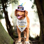 Dog Birthday Bandana Party Supplies Photo Prop Puppy Happy Birthday Dog Pet - Image 5