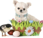 Unique style paws Easter Dog Collar Plastic Buckle Puppy Collar - Image 4