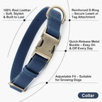 Plutus Pet Genuine Leather Dog Collar – Adjustable Pet Collar - Image 2
