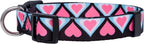 Native Pup Valentine’s Dog Collar- Valentines Day Pet Collars- Valentine Girly - Image 2
