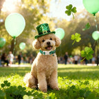 St Patricks Day Dog Collar for Medium Dogs - Image 2