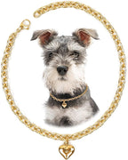 HOWWFALY Dog Collar and Cat Chain Necklace Stainless Steel Adjustable 18K Gold by HOWWFALY