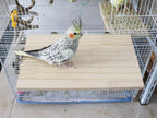 13.6×7.9 Inches Large Bird Perch Stand Platform, Natural Wooden Small Animals - Image 2