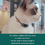 Yizepet Cat Collars, Breakaway Kitten Collar, Cute Kitty Collar in 2 Pack - Image 6