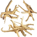 Jorewood Natural Large Spiderwood Driftwood by JOREWOOD