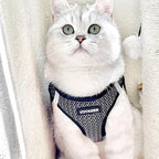 Best Pet Supplies Voyager Step-in Air Harness - Image 8