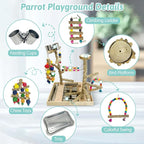 PINVNBY Bird Playground Natural Wood Parrot Perch Stand Bird Play Gym Colorful - Image 3
