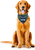Littlearth NFL Denver Broncos Pet Bandana - Image 3