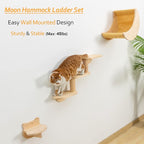 Cat Shelf for Wall Mount Hammock - Image 4