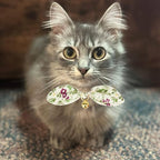 Bowtie Cat Collar with Bell, 2 Pack Cotton Breakaway Kitten Collars with - Image 7
