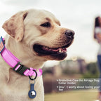 DAGANXI Tactical Dog Collar, Adjustable Military Training Nylon Dog Collar - Image 2